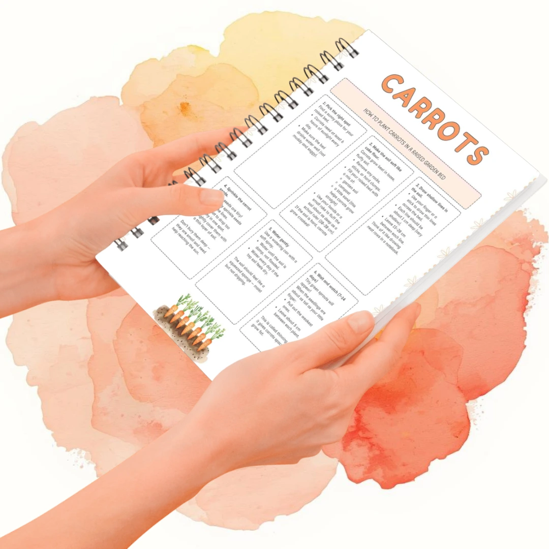 Grow Your Own Carrots - Image 2