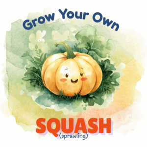 Grow Your Own Dumpling Squash (Sprawling)