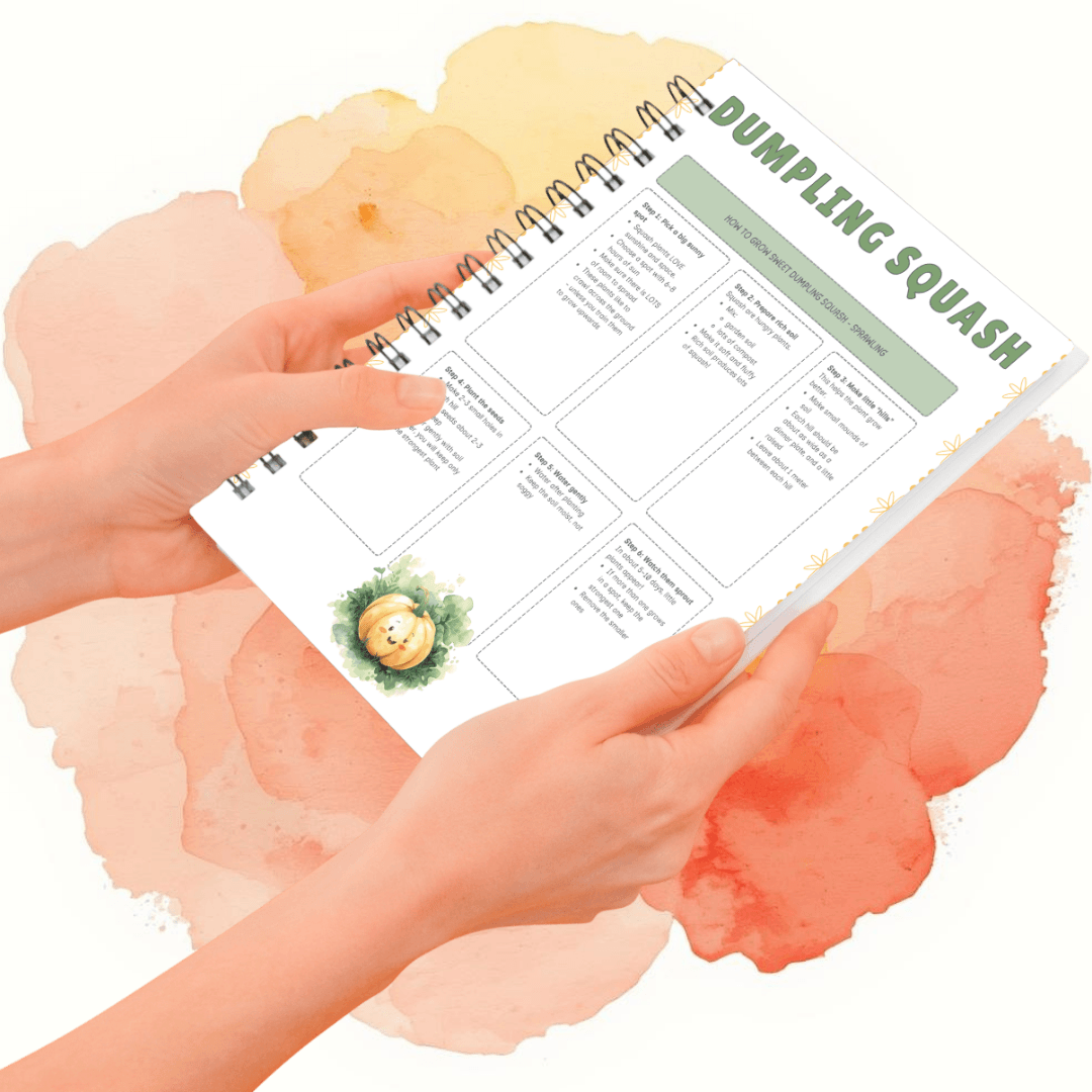 Grow Your Own Dumpling Squash (Sprawling) - Image 2