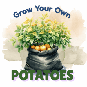 Grow Your Own Potatoes