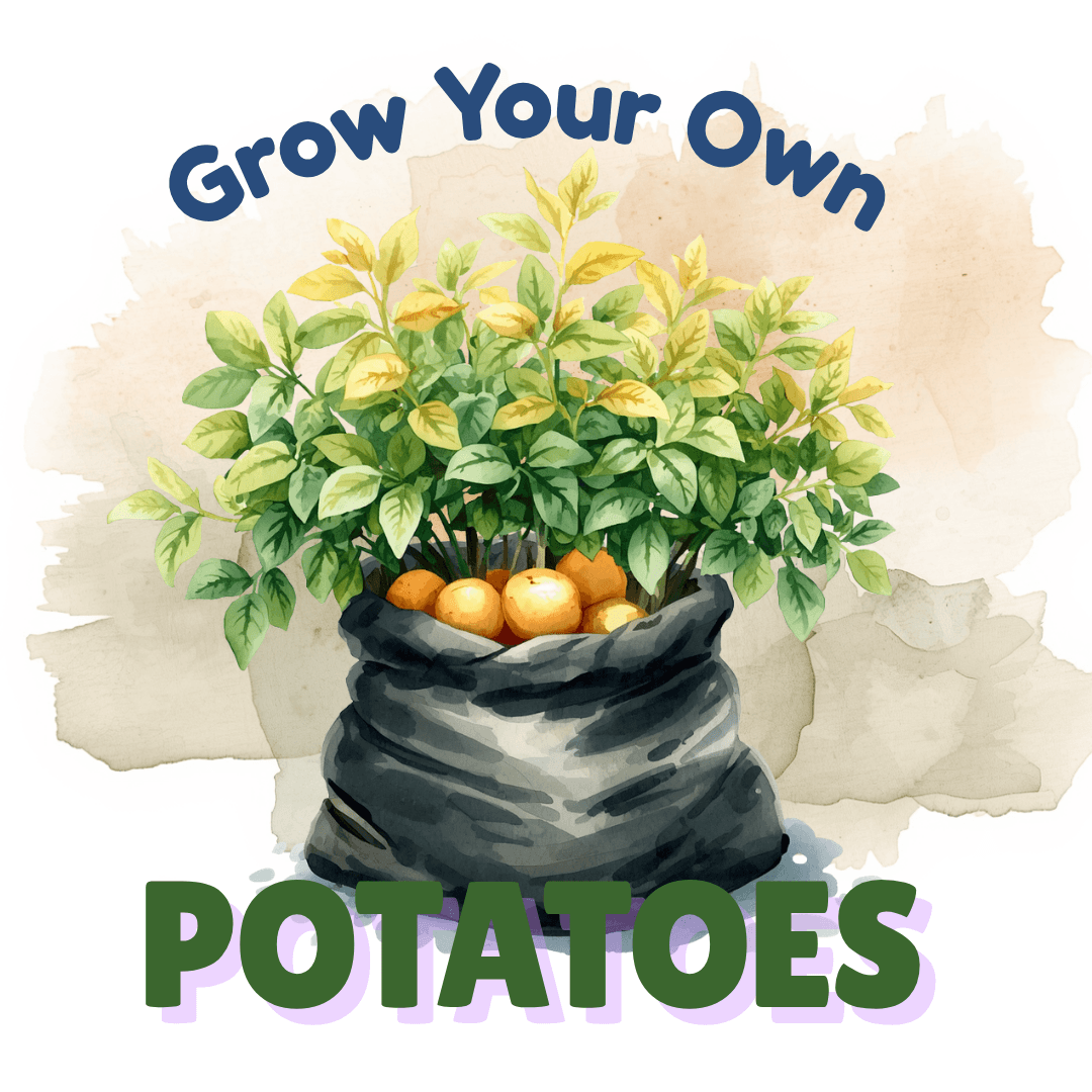 Grow Your Own Potatoes