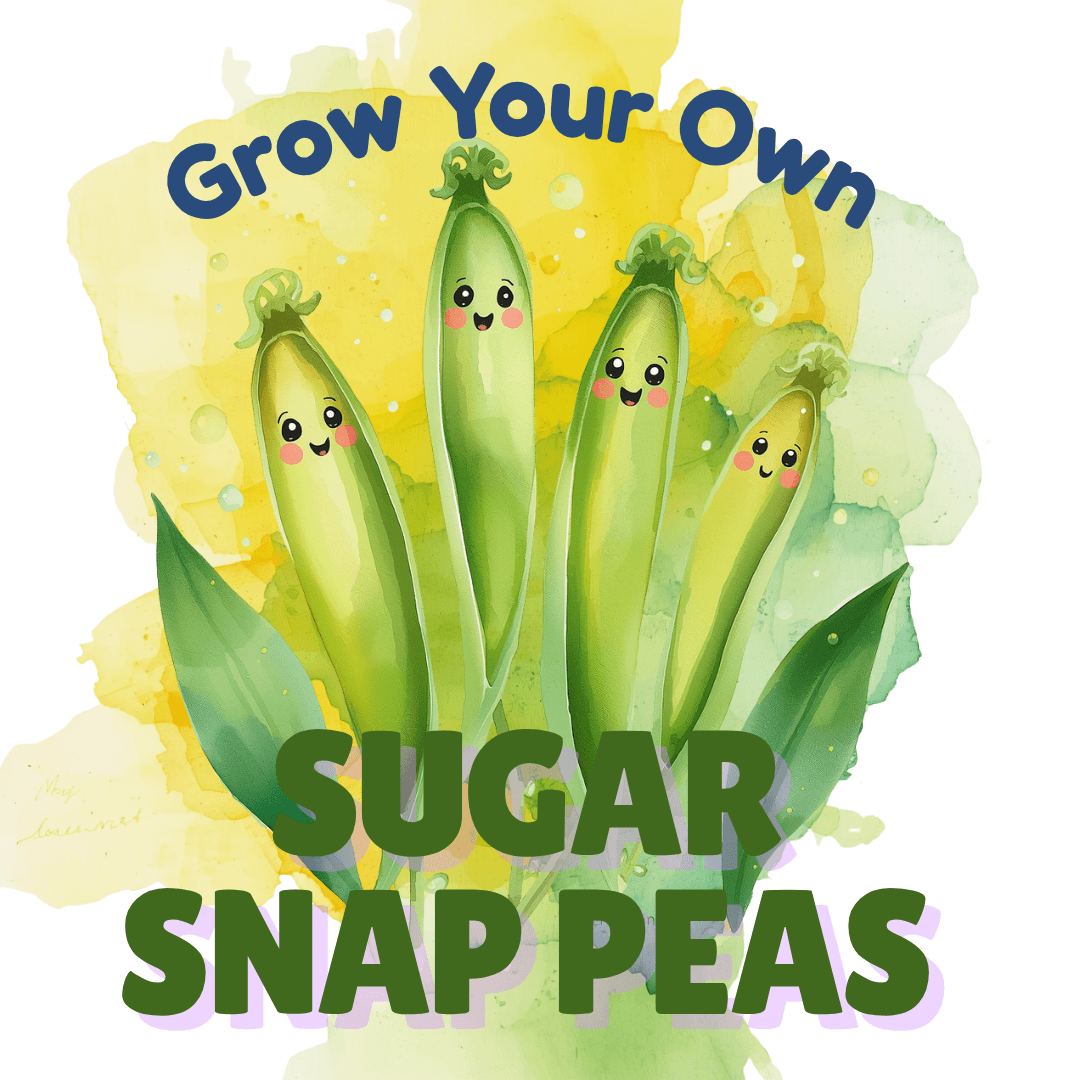 Grow Your Own Sugar Snap Peas