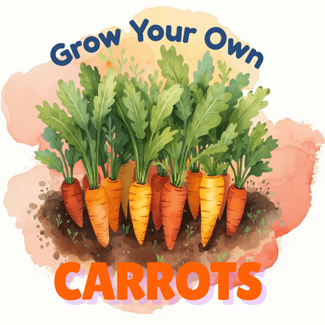 Grow Your Own Carrots